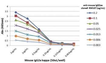 A titer ELISA of mouse IgG2a, kappa;. The plate was coated with different amounts of mouse IgG2a kappa;. A serial dilution of recombinant Mouse IgG2a-Kappa antibody was used as the primary and an alkaline phosphatase conjugated anti-rabbit IgG as the secondary.