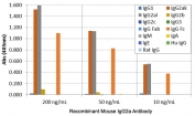 ELISA of mouse immunoglobulins shows the recombinant Mouse IgG2a antibody reacts to the Fc region of mouse IgG2a; no cross reactivity with IgG1, IgG2b, IgG2c, IgG3, IgM, IgA, IgE, human IgG, or rat IgG. The plate was coated with 50 ng/well of different immunoglobulins. 200 ng/mL, 50 ng/mL, or 10 ng/mL of RM219 was used as the primary and an alkaline phosphatase conjugated anti-rabbit IgG as the secondary.