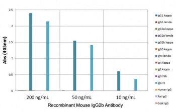 ELISA of mouse immunoglobulins shows the recombinant Mouse IgG2b antibody reacts to the Fc region of mIgG2b; no cross reactivity with IgG1, IgG2a, IgG3, IgM, IgA, IgE, human/rat/goat IgG.