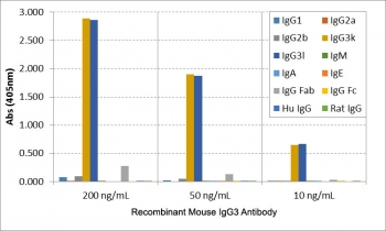 ELISA of mouse immunoglobulins shows the recombinant Mouse IgG3 antibody reacts to both IgG3 kappa; and IgG3 lambda;; No cross reactivity with IgG1, IgG2a, IgG2b, IgM, IgA, IgE, human IgG, or rat IgG.~