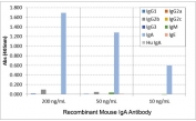ELISA of mouse immunoglobulins shows the recombinant Mouse IgA antibody reacts to mouse IgA. No cross reactivity with mouse IgG1, IgG2a, IgG2b, IgG2c, IgG3, IgM, IgE, or human IgA. The plate was coated with 50 ng/well of different immunoglobulins. 200 ng/mL, 50 ng/mL, or 10 ng/mL of RM220 was used as the primary antibody and an alkaline phosphatase conjugated anti-rabbit IgG as the secondary.