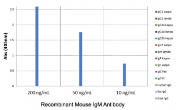 ELISA of mouse immunoglobulins shows the recombinant Mouse IgM antibody reacts to mouse IgM; no cross reactivity with IgG1, IgG2a, IgG2b, IgG3, IgA, IgE, human IgG, rat IgG, or goat IgG.~