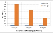 ELISA of IgG from BalB/C and C57BL6 shows the recombinant Mouse IgG2c antibody reacts to C57BL6 IgG containing IgG2c, and does not react to BalB/C IgG containing IgG2a. 200 ng/mL, 50 ng/mL, or 10 ng/mL of RM223 was used as the primary and an alkaline phosphatase conjugated anti-rabbit IgG as the secondary.