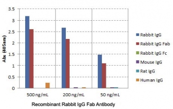ELISA of IgGs from different species shows the recombinant Rabbit IgG Fab antibody reacts to the Fab region of rabbit IgG; no cross reactivity with human/mouse/rat IgG.