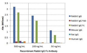 ELISA of IgGs from different species shows the recombinant Rabbit IgG Fc antibody reacts to the Fc region of rabbit IgG; no cross reactivity with human IgG, rat IgG, or mouse IgG.