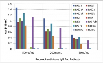ELISA of mouse immunoglobulins shows the recombinant Mouse IgG Fab antibody reacts to the Fab region of IgG1, IgG2a, IgG2b, and IgG3; no cross reactivity with IgM, IgA, IgE, human/rat/rabbit IgG.~