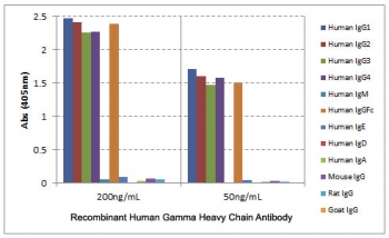 ELISA of human immunoglobulins shows the recombinant Human IgG antibody reacted to the G1, G2, G3, G4 heavy chain of hIgGs, and the Fc of hIgG. No cross reactivity with other heavy chains or mouse/rat/goat IgG.