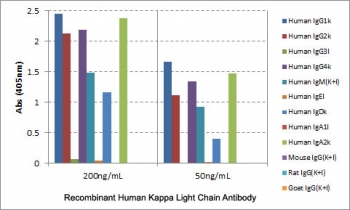 ELISA of human immunoglobulins shows the recombinant Human Kappa Light Chain antibody reacts to the kappa light chain of hIgs. No cross reactivity with the lambda light chain, mouse/rat/goat IgG.