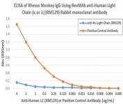 The recombinant Human Ig Light Chains antibody does not cross-react with monkey IgG.