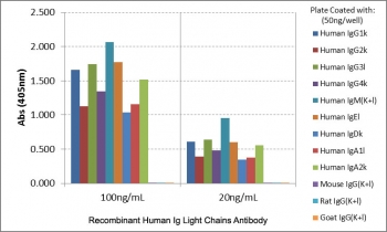 ELISA of human immunoglobulins shows recombinant Human Ig Light Chains antibody reacts to both kappa and lambda light chains of human immunoglobulins. No cross reactivity with mouse, rat, or goat immunoglobulin light chain.~