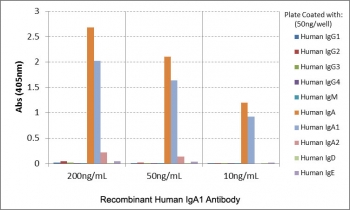 ELISA of human immunoglobulins shows the recombinant Human IgA1 antibody reacts only to IgA. Very slightly cross reacts with IgA2. No cross reactivity with IgG, IgM, IgD, or IgE.
