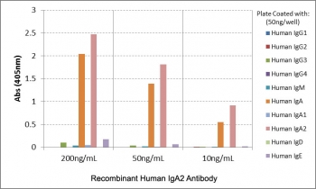 ELISA of human immunoglobulins shows recombinant Human IgA2 antibody reacts only to IgA2. No cross reactivity with IgA1, IgG, IgM, IgD, or IgE.