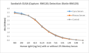 Human IgG4 Antibody for ELISA Sandwich ELISA Matrix Compatibility. Sandwich ELISA analysis demonstrates detection of human IgG4 spiked into monkey serum using clone RM120 as a capture antibody for Human IgG4 / IGHG4, with overlapping dilution curves observed between serum and control conditions. Captured IgG4 was detected using a biotinylated anti-human light chains (kappa + lambda) antibody (clone RM129), followed by HRP-conjugated streptavidin for signal development. The comparable signal profiles support reliable detection of IgG4 in complex biological matrices and reflect hinge region-directed recognition with minimal interference.