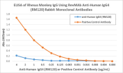 Human IgG4 Antibody for ELISA Cross-Species Specificity Analysis. ELISA analysis demonstrates that clone RM120 shows minimal reactivity to rhesus monkey IgG when used as a detection antibody, with signal remaining near baseline across tested concentrations. In contrast, a monkey IgG-binding antibody used as a positive control produces strong signal, confirming assay performance. This lack of cross-reactivity supports high specificity for Human IgG4 / IGHG4 and reflects hinge region-directed recognition with reduced binding to non-human immunoglobulins.