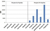 The recombinant Phosphothreonine antibody recognizes phosphorylated threonine in peptides with different sequences. It has minimal cross-reactivity with phosphorylated serine.