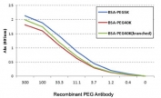 ELISA of three different PEGylated BSAs using the recombinant PEG antibody.