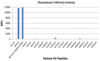 The recombinant H3K4me3 antibody specifically reacts to Histone H3 trimethylated at Lysine 4 (K4me3). No cross reactivity with other methylated lysines in Histone H3.