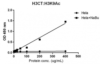 Sandwich ELISA with acetylated Histone H3 at Lys 9 using HeLa whole cell lysate, treated or untreated with sodium butyrate, <a href=../tds/recombinant-histone-h3-antibody-rabbit-monoclonal-r20252>anti-H3CT (RM188, 1 ug/ml)</a> as the capture and biotinylated recombinant H3K9ac antibody (RM161, 1 ug/ml) as the detect.