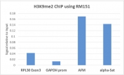 ChIP performed on HeLa cells using recombinant H3K9me2 antibody (5ug). Real-time PCR was performed using primers specific to the gene indicated.