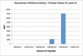 This recombinant H4K20me3 antib