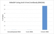 hMeDIP was performed using recombinant 5hmC antibody at a 10:1 DNA:Ab ratio. 1 ng of unmethylated, 5-Methylcytosine (5mC) or 5-Hydroxymethylcytosine (5hmC) DNA standard (897 bp) was spiked in 1ug of genomic DNA isolated from HeLa cells as the control. Realtime PCR was then performed to determine the capture of DNA standard as in % of input. 