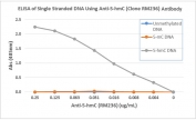 ELISA of single stranded DNA using recombinant 5hmC antibody. The plate was coated with streptavidin and then biotinylated single stranded unmethylated DNA, 5-Methylcytosine (5mC) DNA, and 5-Hydroxymethylcytosine (5hmC) DNA. A serial dilution of RM236 mAb was used as the primary, and an anti-rabbit IgG AKP secondary.