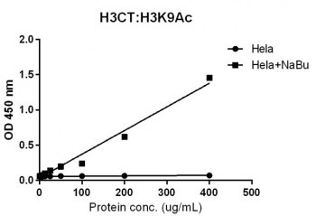 Sandwich ELISA against acetylated Histone H3 at Lys 9 using HeLa whole cell lysate, treated or untreated with sodium butyrate, using recombinant Histone H3 antibody (1ug/ml) as the capture and <a href=../search_result.php?search_txt=rm161>biotinylated anti-H3K9ac</a> (RM161, 1ug/ml) as the detect.