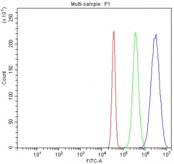 Flow cytometry testing of fixed and permeabilized human SiHa cells with FGF2 antibody at 1ug/million cells (blocked with goat sera); Red=cells alone, Green=isotype control, Blue= FGF2 antibody.