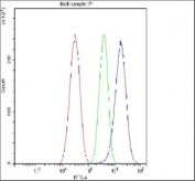 Flow cytometry testing of fixed and permeabilized human HepG2 cells with Transferrin antibody at 1ug/million cells (blocked with goat sera); Red=cells alone, Green=isotype control, Blue= Transferrin antibody.