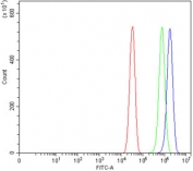 Flow cytometry testing of mouse Neuro-2a cells with Survivin antibody at 1ug/million cells (blocked with goat sera); Red=cells alone, Green=isotype control, Blue= Survivin antibody.