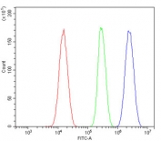 Flow cytometry testing of human SiHa cells with SRC-1 antibody at 1ug/million cells (blocked with goat sera); Red=cells alone, Green=isotype control, Blue= SRC-1 antibody.