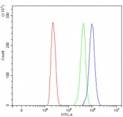 Flow cytometry testing of human HL60 cells with CD44 antibody at 1ug/million cells (blocked with goat sera); Red=cells alone, Green=isotype control, Blue= CD44 antibody.