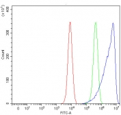 Flow cytometry testing of human K562 cells with MIF antibody at 1ug/million cells (blocked with goat sera); Red=cells alone, Green=isotype control, Blue= MIF antibody.