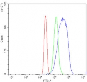 Flow cytometry testing of human HL60 cells with Myeloperoxidase antibody at 1ug/million cells (blocked with goat sera); Red=cells alone, Green=isotype control, Blue= Myeloperoxidase antibody.