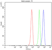 Flow cytometry testing of fixed and permeabilized human HepG2 cells with SKP2 antibody at 1ug/million cells (blocked with goat sera); Red=cells alone, Green=isotype control, Blue= SKP2 antibody.