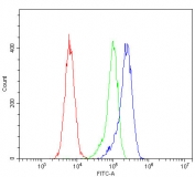 Flow cytometry testing of fixed and permeabilized human Caco-2 cells with Cytokeratin 8 antibody at 1ug/million cells (blocked with goat sera); Red=cells alone, Green=isotype control, Blue= Cytokeratin 8 antibody.