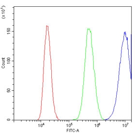 Flow cytometry testing of human PC-3 cells with Galectin antibody at 1ug/million cells (blocked with goat sera); Red=cells alone, Green=isotype control, Blue= Galectin antibody.