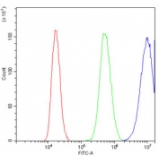 Flow cytometry testing of human PC-3 cells with Galectin antibody at 1ug/million cells (blocked with goat sera); Red=cells alone, Green=isotype control, Blue= Galectin antibody.