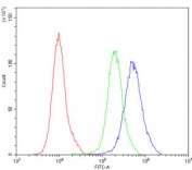 Flow cytometry testing of human PC-3 cells with Bcl2L2 antibody at 1ug/million cells (blocked with goat sera); Red=cells alone, Green=isotype control, Blue= Bcl2L2 antibody.