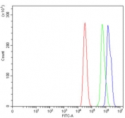 Flow cytometry testing of human MCF7 cells with Cdk4 antibody at 1ug/million cells (blocked with goat sera); Red=cells alone, Green=isotype control, Blue= Cdk4 antibody.