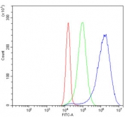 Flow cytometry testing of human JK cells with Cystathionase antibody at 1ug/million cells (blocked with goat sera); Red=cells alone, Green=isotype control, Blue= Cystathionase antibody.