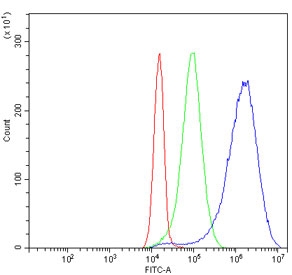 Flow cytometry testing of human JK cells with Cystathionase antibody at 1ug/million cells (blocked with goat sera); Red=cells alone, Green=isotype control, Blue= Cystathionase antibody.