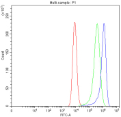 Flow cytometry analysis of fixed and permeabilized human Caco-2 cells with GRB7 antibody at 1ug/million cells (blocked with goat sera); Red=cells alone, Green=isotype control, Blue= GRB7 antibody.