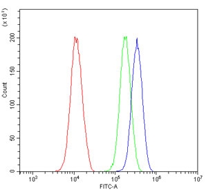 Flow cytometry testing of human 293T cells with HSF2 antibody at 1ug/million cells (blocked with goat sera); Red=cells alone, Green=isotype control, Blue= HSF2 antibody.