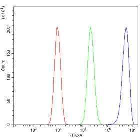 Flow cytometry testing of human SiHa cells with Ku80 antibody at 1ug/million cells (blocked with goat sera); Red=cells alone, Green=isotype control, Blue= Ku80 antibody.