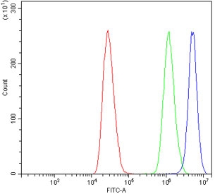 Flow cytometry testing of human MCF7 cells with Ku70 antibody at 1ug/million cells (blocked with goat sera); Red=cells alone, Green=isotype control, Blue= Ku70 antibody.