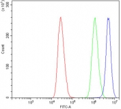 Flow cytometry testing of human MCF7 cells with Ku70 antibody at 1ug/million cells (blocked with goat sera); Red=cells alone, Green=isotype control, Blue= Ku70 antibody.