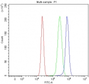 Flow cytometry testing of human HepG2 cells with NDUFA1 antibody at 1ug/million cells (blocked with goat sera); Red=cells alone, Green=isotype control, Blue= NDUFA1 antibody.