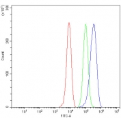 Flow cytometry testing of fixed and permeabilized human HepG2 cells with ALDH1A1 antibody at 1ug/million cells (blocked with goat sera); Red=cells alone, Green=isotype control, Blue= ALDH1A1 antibody.