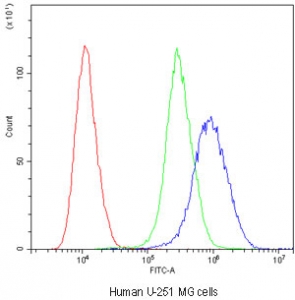 Flow cytometry testing of human U-251 MG cells with Myosin Phosphatase antibody at 1ug/million cells (blocked with goat sera); Red=cells alone, Green=isotype control, Blue=Myosin Phosphatase antibody.